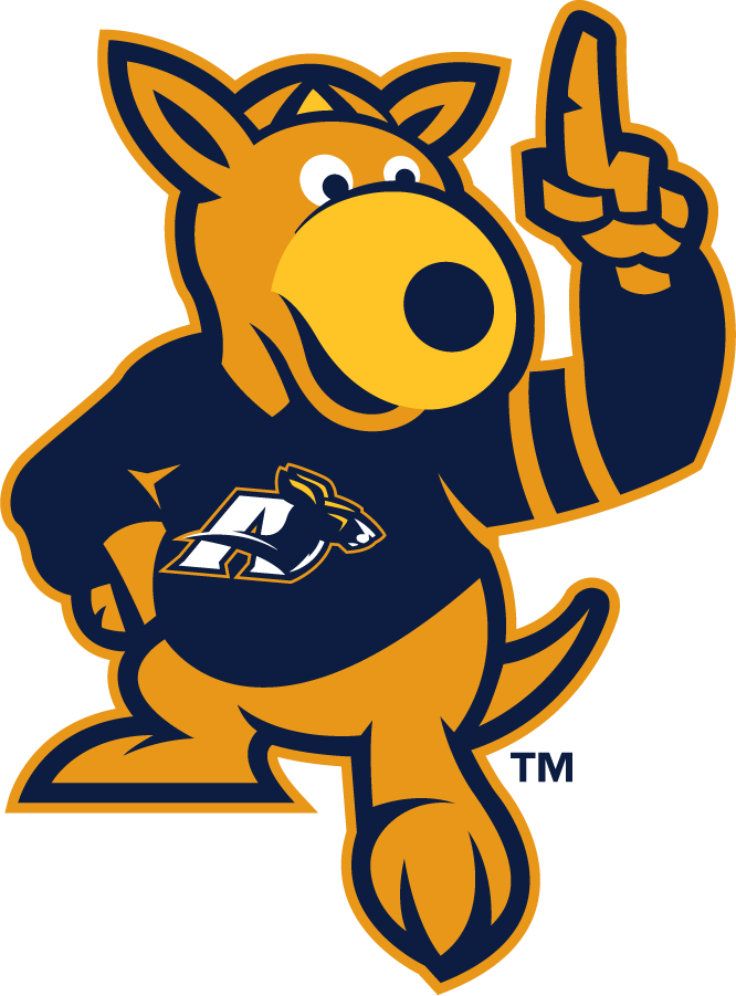 Akron Zips 2008-2015 Mascot Logo diy DTF decal sticker